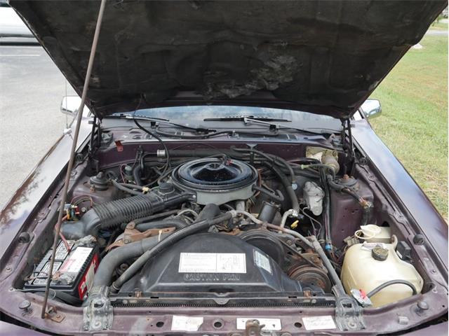 1986 Mercury Cougar (CC-2081550) for sale in Palmetto, Florida