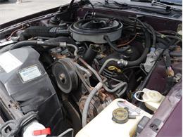 1986 Mercury Cougar (CC-2081550) for sale in Palmetto, Florida