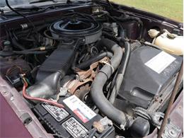 1986 Mercury Cougar (CC-2081550) for sale in Palmetto, Florida