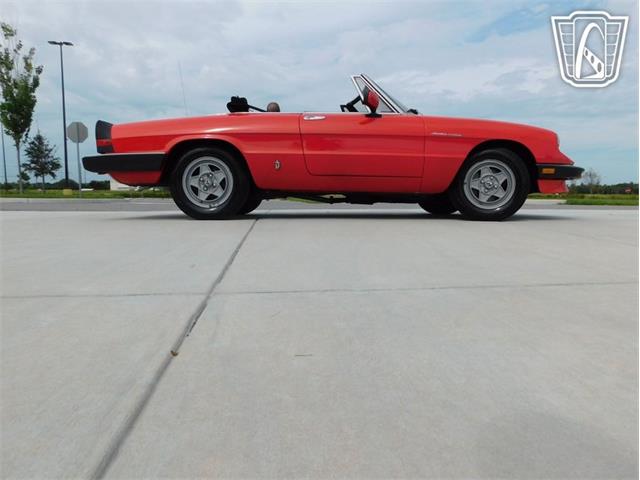 1984 Alfa Romeo Spider Veloce (CC-2081551) for sale in Ruskin, Florida