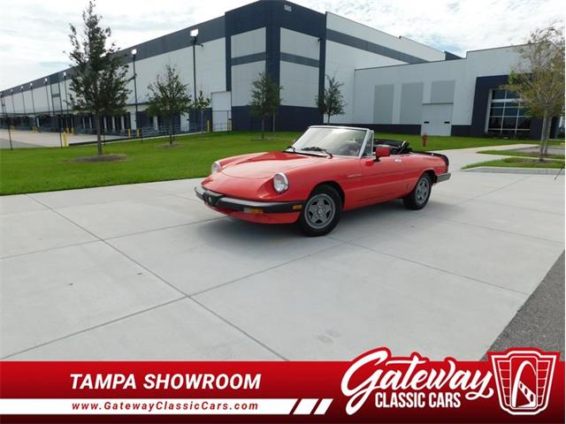 1984 Alfa Romeo Spider Veloce (CC-2081551) for sale in Ruskin, Florida