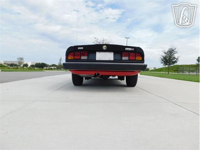 1984 Alfa Romeo Spider Veloce (CC-2081551) for sale in Ruskin, Florida
