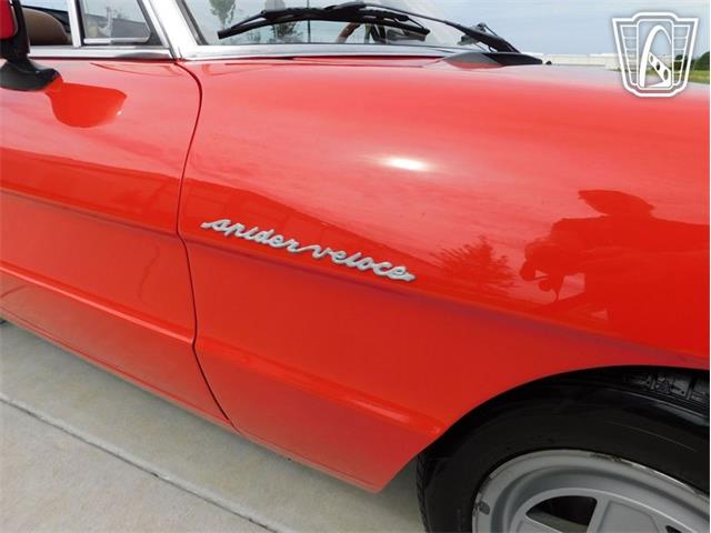 1984 Alfa Romeo Spider Veloce (CC-2081551) for sale in Ruskin, Florida