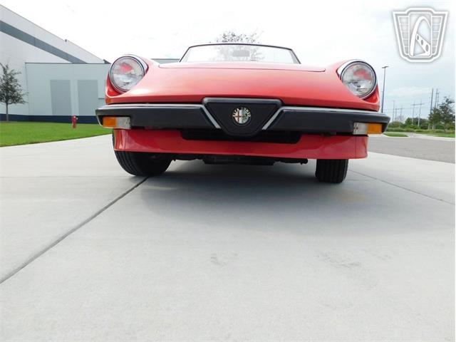 1984 Alfa Romeo Spider Veloce (CC-2081551) for sale in Ruskin, Florida