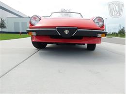 1984 Alfa Romeo Spider Veloce (CC-2081551) for sale in Ruskin, Florida