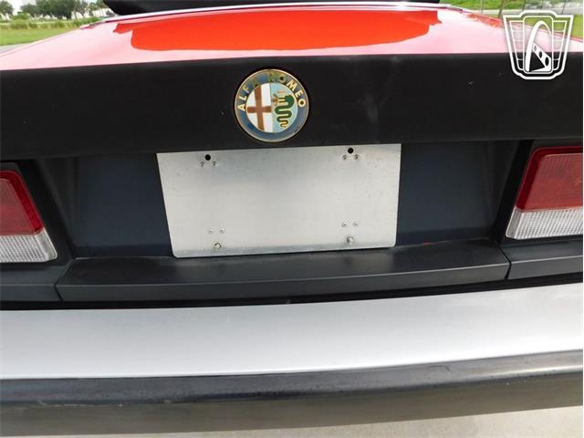 1984 Alfa Romeo Spider Veloce (CC-2081551) for sale in Ruskin, Florida
