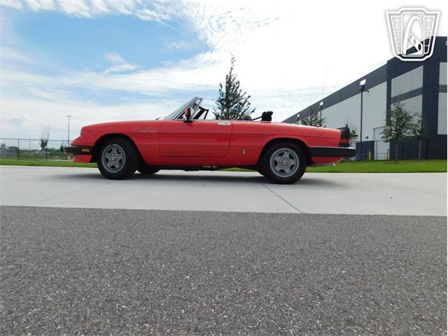 1984 Alfa Romeo Spider Veloce (CC-2081551) for sale in Ruskin, Florida