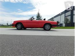 1984 Alfa Romeo Spider Veloce (CC-2081551) for sale in Ruskin, Florida