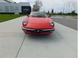 1984 Alfa Romeo Spider Veloce (CC-2081551) for sale in Ruskin, Florida