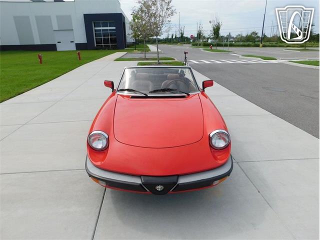 1984 Alfa Romeo Spider Veloce (CC-2081551) for sale in Ruskin, Florida