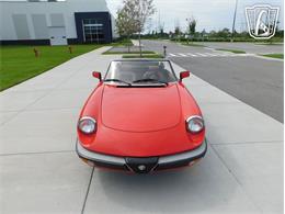 1984 Alfa Romeo Spider Veloce (CC-2081551) for sale in Ruskin, Florida