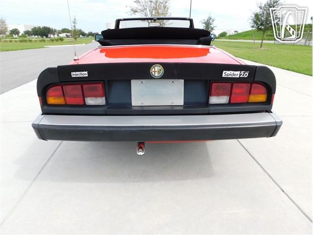 1984 Alfa Romeo Spider Veloce (CC-2081551) for sale in Ruskin, Florida