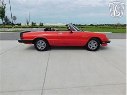 1984 Alfa Romeo Spider Veloce (CC-2081551) for sale in Ruskin, Florida