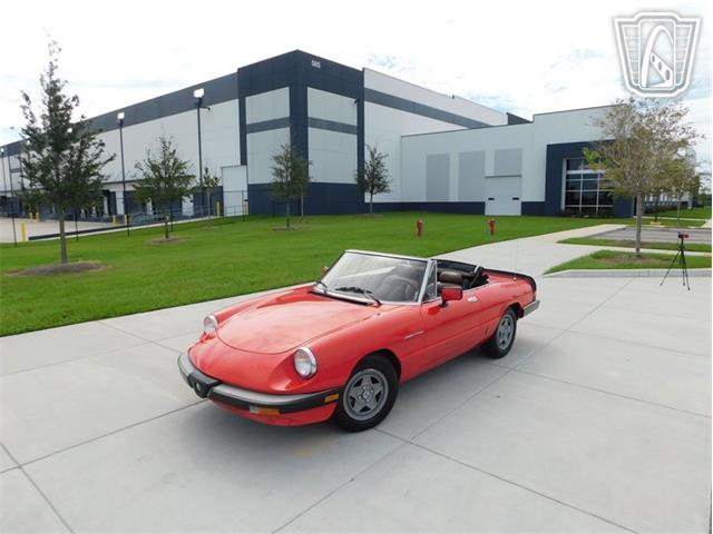 1984 Alfa Romeo Spider Veloce (CC-2081551) for sale in Ruskin, Florida
