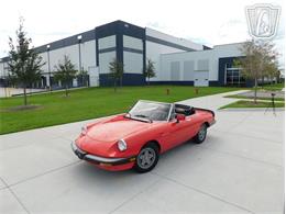 1984 Alfa Romeo Spider Veloce (CC-2081551) for sale in Ruskin, Florida