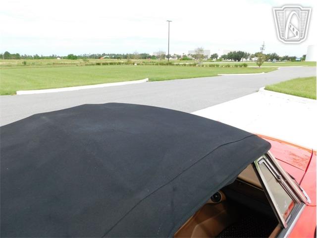 1984 Alfa Romeo Spider Veloce (CC-2081551) for sale in Ruskin, Florida