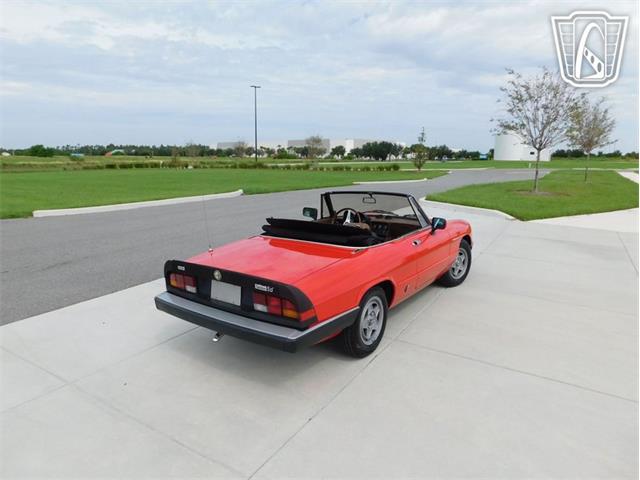 1984 Alfa Romeo Spider Veloce (CC-2081551) for sale in Ruskin, Florida