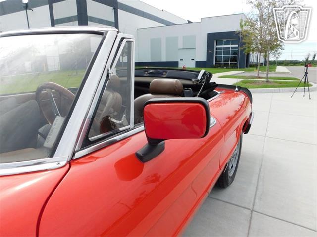 1984 Alfa Romeo Spider Veloce (CC-2081551) for sale in Ruskin, Florida