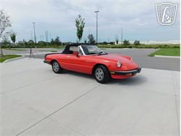 1984 Alfa Romeo Spider Veloce (CC-2081551) for sale in Ruskin, Florida