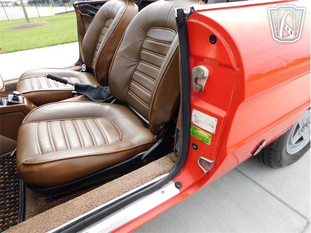 1984 Alfa Romeo Spider Veloce (CC-2081551) for sale in Ruskin, Florida