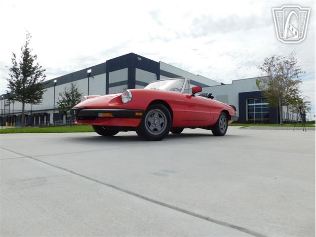 1984 Alfa Romeo Spider Veloce (CC-2081551) for sale in Ruskin, Florida