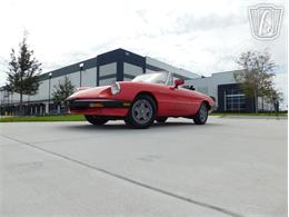 1984 Alfa Romeo Spider Veloce (CC-2081551) for sale in Ruskin, Florida