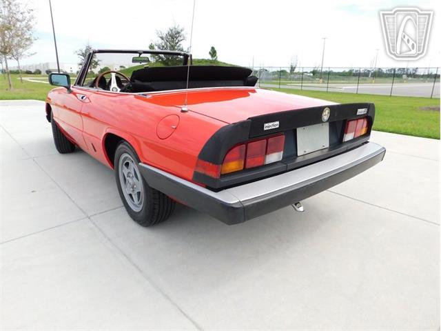 1984 Alfa Romeo Spider Veloce (CC-2081551) for sale in Ruskin, Florida