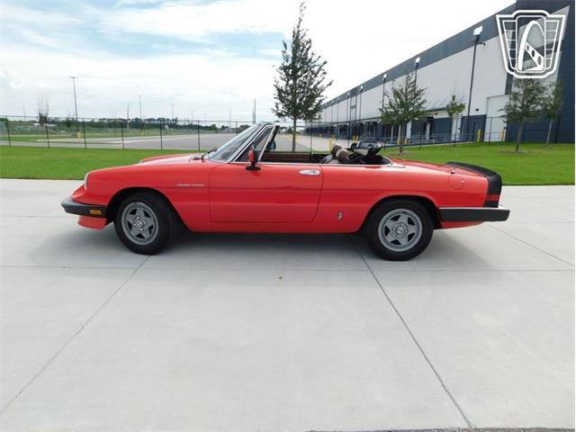 1984 Alfa Romeo Spider Veloce (CC-2081551) for sale in Ruskin, Florida