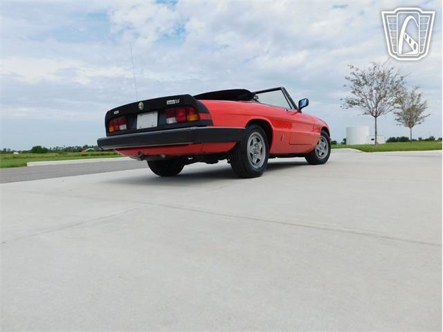 1984 Alfa Romeo Spider Veloce (CC-2081551) for sale in Ruskin, Florida