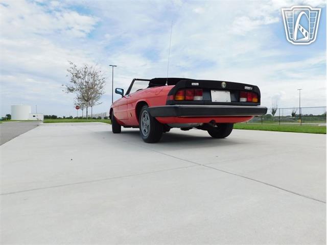 1984 Alfa Romeo Spider Veloce (CC-2081551) for sale in Ruskin, Florida
