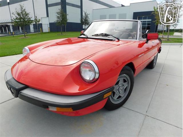 1984 Alfa Romeo Spider Veloce (CC-2081551) for sale in Ruskin, Florida