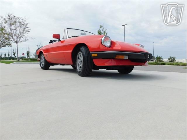1984 Alfa Romeo Spider Veloce (CC-2081551) for sale in Ruskin, Florida