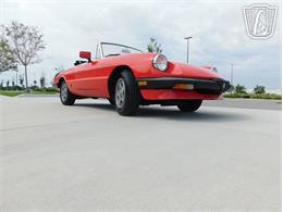 1984 Alfa Romeo Spider Veloce (CC-2081551) for sale in Ruskin, Florida