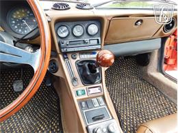 1984 Alfa Romeo Spider Veloce (CC-2081551) for sale in Ruskin, Florida