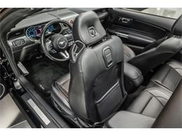 2019 Ford Mustang (CC-2081574) for sale in Plymouth, Michigan