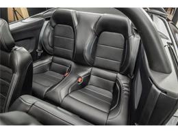2019 Ford Mustang (CC-2081574) for sale in Plymouth, Michigan