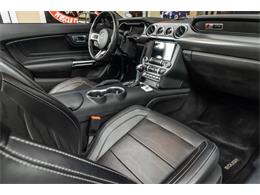 2019 Ford Mustang (CC-2081574) for sale in Plymouth, Michigan