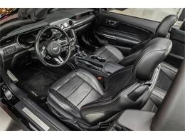 2019 Ford Mustang (CC-2081574) for sale in Plymouth, Michigan