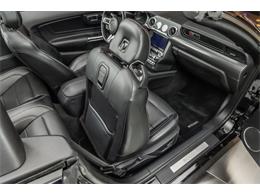 2019 Ford Mustang (CC-2081574) for sale in Plymouth, Michigan