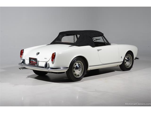 1964 Alfa Romeo Giulia (CC-2081607) for sale in Farmingdale, New York