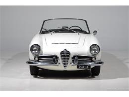 1964 Alfa Romeo Giulia (CC-2081607) for sale in Farmingdale, New York