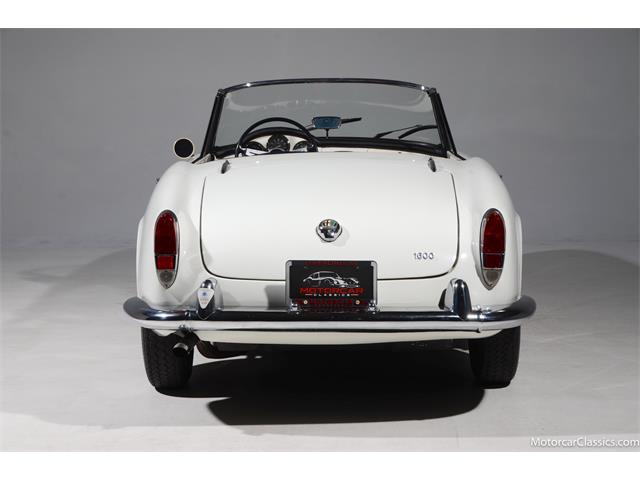 1964 Alfa Romeo Giulia (CC-2081607) for sale in Farmingdale, New York
