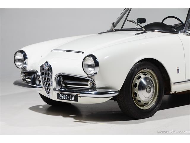 1964 Alfa Romeo Giulia (CC-2081607) for sale in Farmingdale, New York