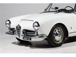 1964 Alfa Romeo Giulia (CC-2081607) for sale in Farmingdale, New York