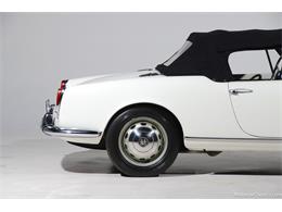 1964 Alfa Romeo Giulia (CC-2081607) for sale in Farmingdale, New York