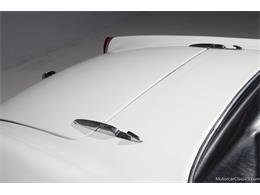 1964 Alfa Romeo Giulia (CC-2081607) for sale in Farmingdale, New York