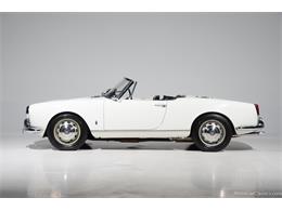 1964 Alfa Romeo Giulia (CC-2081607) for sale in Farmingdale, New York