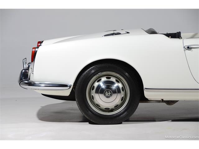 1964 Alfa Romeo Giulia (CC-2081607) for sale in Farmingdale, New York