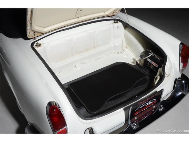1964 Alfa Romeo Giulia (CC-2081607) for sale in Farmingdale, New York