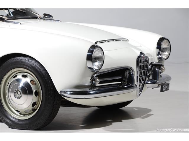 1964 Alfa Romeo Giulia (CC-2081607) for sale in Farmingdale, New York